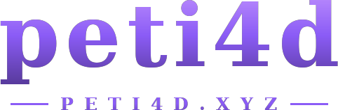 peti4d logo